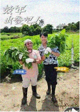 资讯配图：无障碍字幕公益项目动态